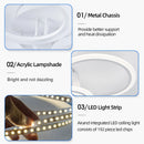 Modern LED Chandelier Home Lighting Ring Ceiling Mount Chandelier Living Room Bedroom Lighting lustre Ceiling pendant lamp Wattsspeed